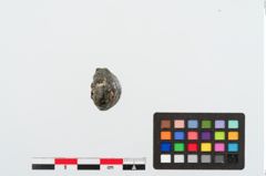 Foto von Schlacke (NHMW-PRAE-024045)